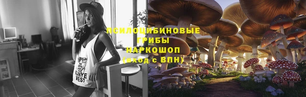 альфа пвп Горняк