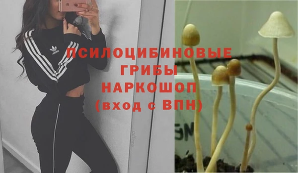 альфа пвп Горняк